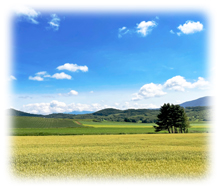 北海道・有限会社ノースライス