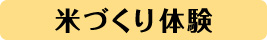 米作り体験